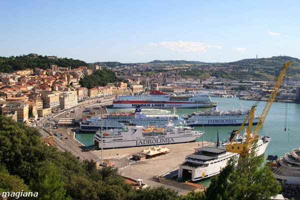 ancona'